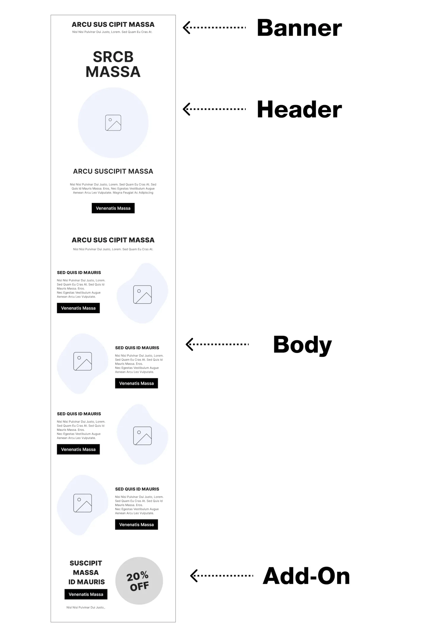 backbone-image