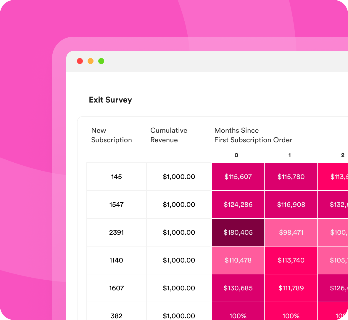 Connect Your Store & Launch the Portal